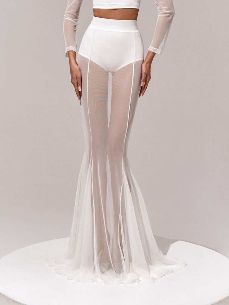 Mesh Sheer Flared Elegant Skirt
